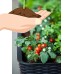 Keter Easy Grow Elevated Garden Bed, Anthracite   568261778